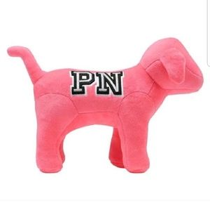 Vs pink nation pink pup